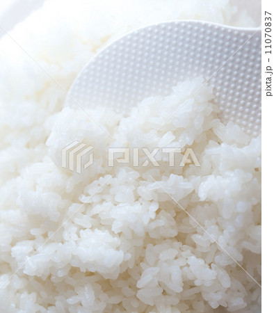 白米、米、食べ物、食材、こめ、 白米、米、食べ物、食材、こめ、 11070837