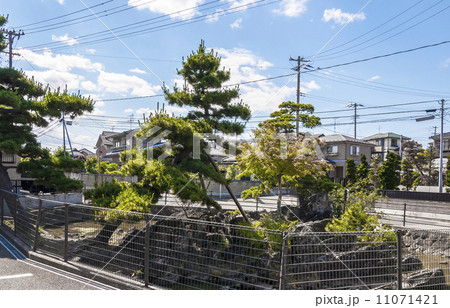 奥の細道の風景地・興井( 沖の井 沖の石) 奥の細道の風景地・興井( 沖の井 沖の石) 11071421