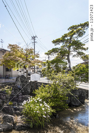 奥の細道の風景地・興井( 沖の井 沖の石) 奥の細道の風景地・興井( 沖の井 沖の石) 11071423