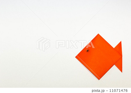 折り紙の金魚-右下1匹 11071476