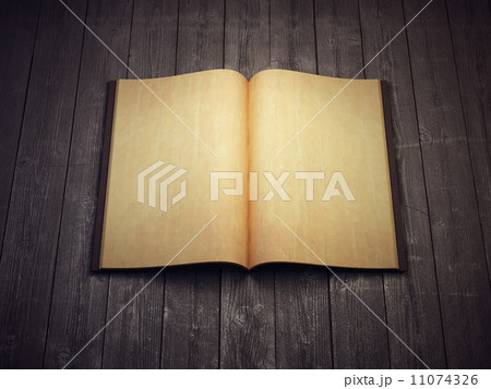 open blank old book 11074326