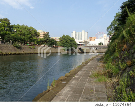 甲突川の河川敷 甲突川の河川敷 11074364