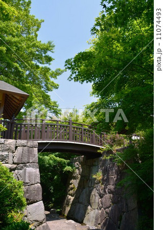 丈山苑 望京橋 丈山苑 望京橋 11074493