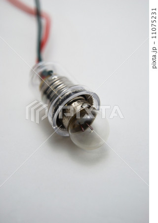 豆電球 豆電球 11075231