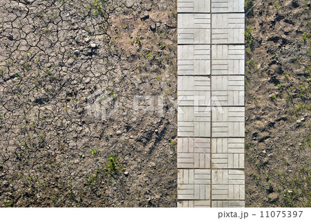 Paved lane on an arid land texture Paved lane on an arid land texture 11075397
