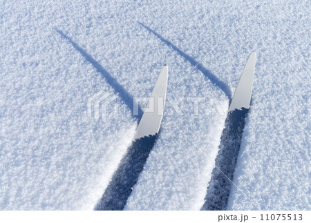 Fragments of cross-country skis in a friable snow with shadows Fragments of cross-country skis in a friable snow with shadows 11075513