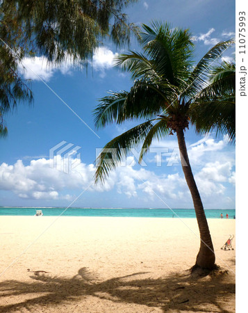 サイパン、マニャガハ島 11075993