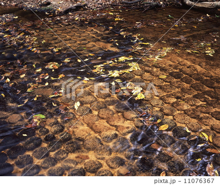 クバール・スピアン クバール・スピアン 11076367