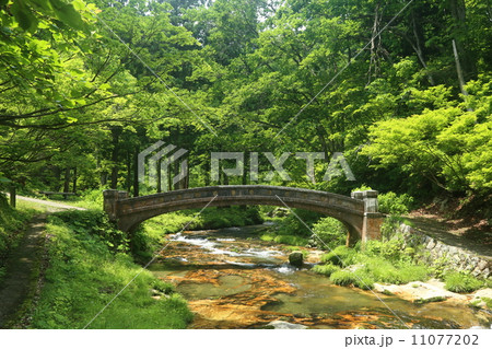 河鹿橋 11077202
