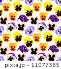 Seamless pattern of pansyes flowers 11077365