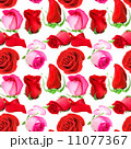 Seamless pattern of roses flowers 11077367