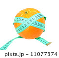 Measure tape on orange tangerine 11077374