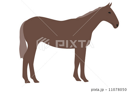 馬のイラスト 右向きのイラスト素材 11078050 Pixta