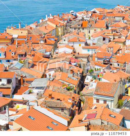 Picturesque old town Piran, Slovenia. 11079453