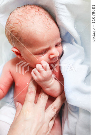 Newborn baby boy only few hours old 11079681