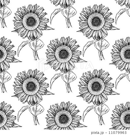 Sketch Sunflower Vector Vintage Seamless Patternのイラスト素材