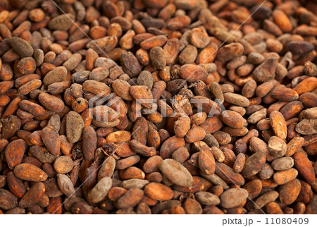 Cocoa beans background 11080409