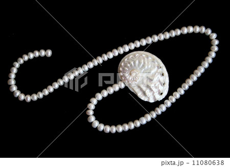White pearls and nacreous cockleshell White pearls and nacreous cockleshell 11080638