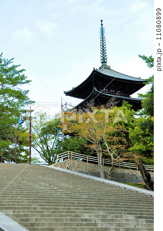 興福寺の五重塔を望む五十二段の階段 11080899