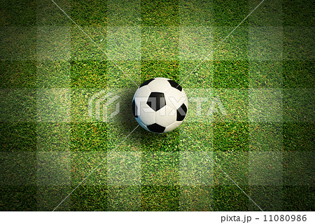 Soccer football field at football stadium 11080986