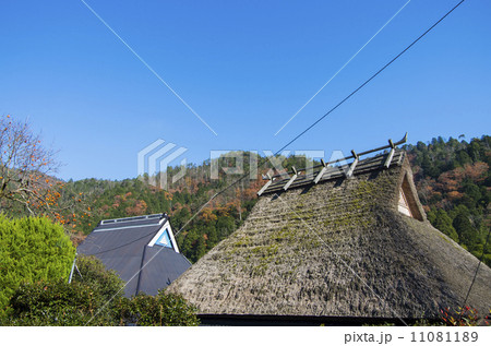 日本の原風景 日本の原風景 11081189
