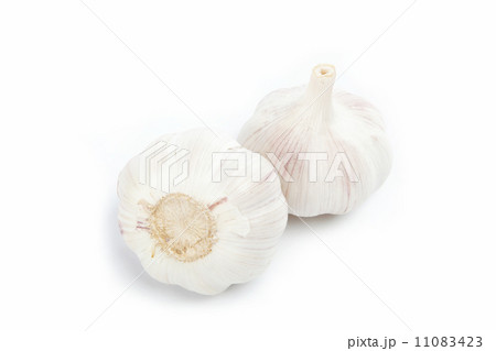 garlic bulb isolated on white background cutout 11083423