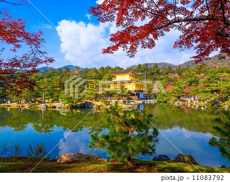 秋の金閣寺 秋の金閣寺 11083792