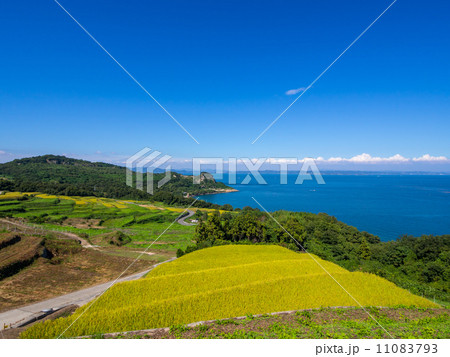再生した豊島の棚田 11083793