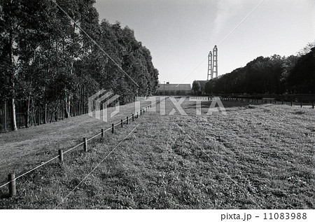 東京湾埋め立て地・夢の島 1990年代の記録 東京湾埋め立て地・夢の島 1990年代の記録 11083988