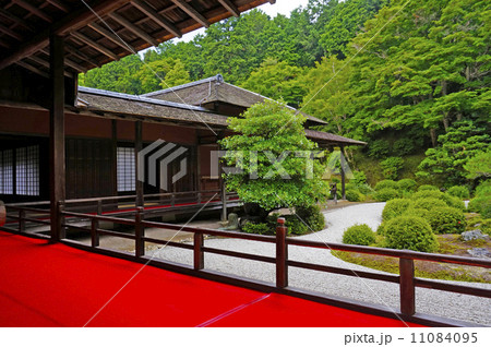 曼殊院門跡の庭園 11084095