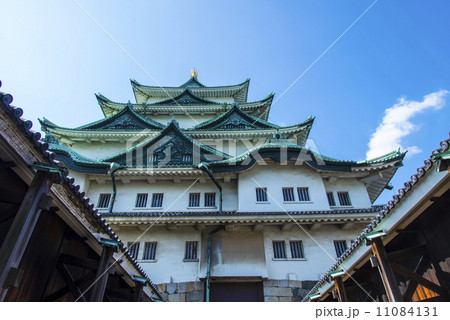 名古屋城天守閣 11084131