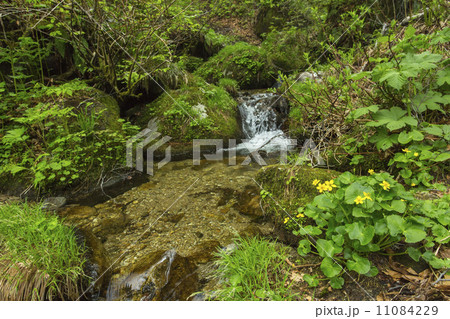 天生自然公園 天生自然公園 11084229