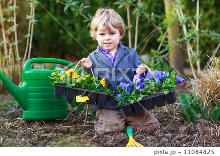 Little boy gardening and planting flowers in garden 11084825