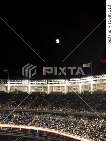 Yankee at Night 11085113