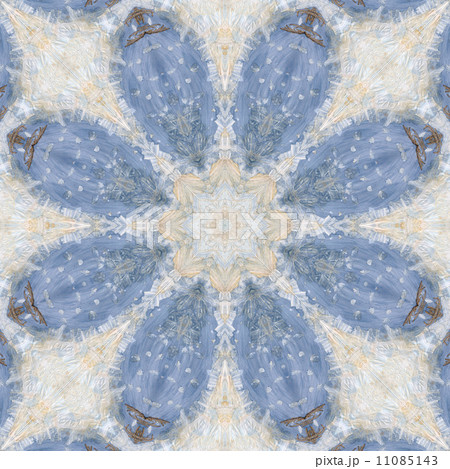 Seamless ornament, garlic husks and watercolor 11085143