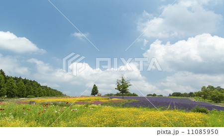 青山リゾート 青山リゾート 11085950
