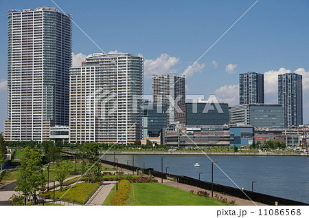 豊洲のタワーマンション群(東京都中央区) 豊洲のタワーマンション群(東京都中央区) 11086568