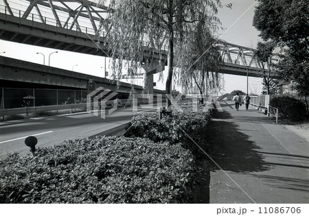 東京湾埋め立て地・夢の島　1990年代の記録 11086706