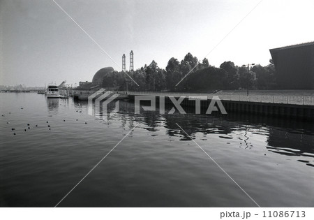 東京湾埋め立て地・夢の島 1990年代の記録 東京湾埋め立て地・夢の島 1990年代の記録 11086713