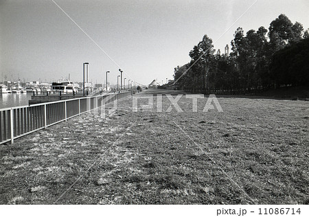 東京湾埋め立て地・夢の島 1990年代の記録 東京湾埋め立て地・夢の島 1990年代の記録 11086714