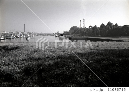 東京湾埋め立て地・夢の島 1990年代の記録 東京湾埋め立て地・夢の島 1990年代の記録 11086716