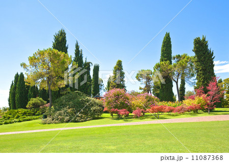 Summer park 11087368