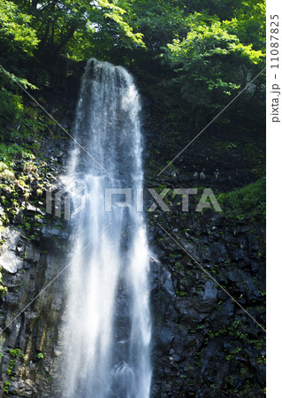 玉簾の滝 玉簾の滝 11087825