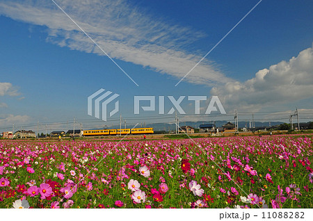 三岐鉄道の秋 11088282