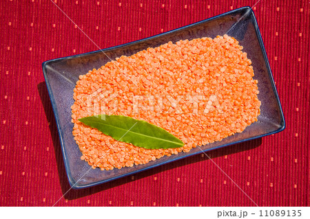Red lentils Red lentils 11089135