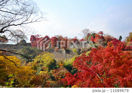 岡城の紅葉 岡城の紅葉 11089679