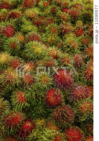 Rambutan fruit of thailand 11090077