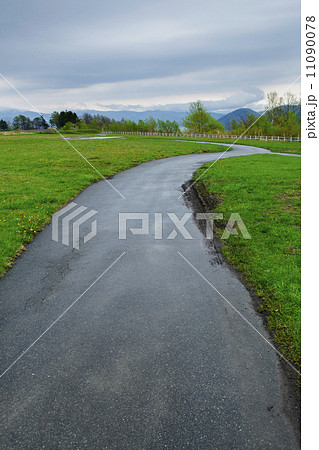 road with green grass road with green grass 11090078