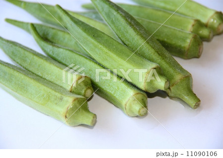 オクラ 11090106
