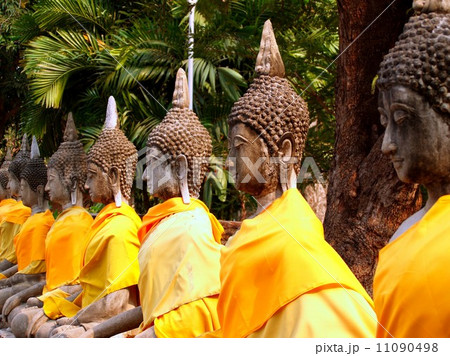 buddha temple in Ayutthaya, Thailand 11090498